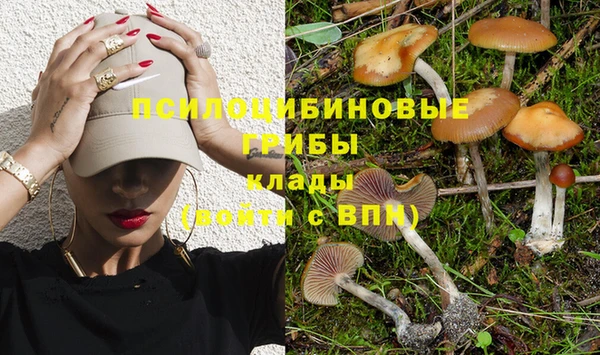 дживик Алексеевка